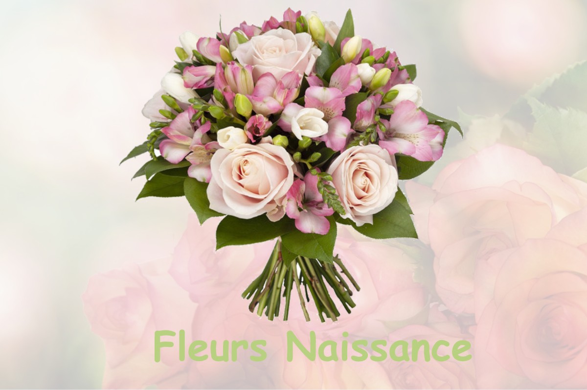 fleurs naissance BOUGUE